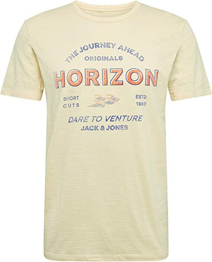 Jack & Jones Flan T-Shirt mit Rundhalsausschnitt und abgenutztem Schriftzug