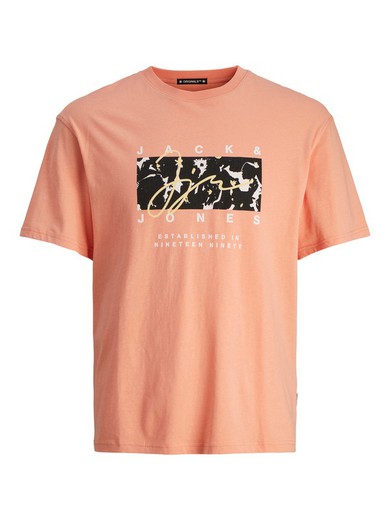 Camiseta m/c con print branding Jack & Jones Canyon Sunset