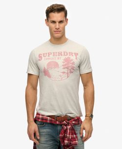 Camiseta m/c con print branding Superdry Ice Marl