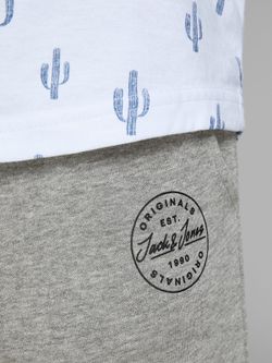 Jack & Jones Hellgrauer Mela Basic Trainingsanzug