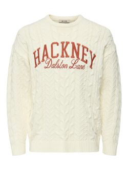 Jersey de cuello redondo trenzas Only & Sons Egret