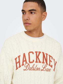 Jersey de cuello redondo trenzas Only & Sons Egret