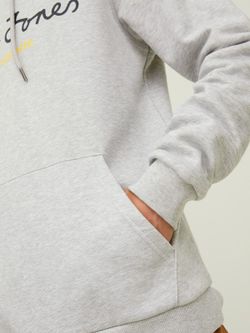 Sudadera con capucha con letras branding Jack & Jones Light Grey Mela