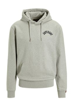 Sudadera con capucha y con backprint letras branding Superdry Grey Marl