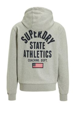Sudadera con capucha y con backprint letras branding Superdry Grey Marl