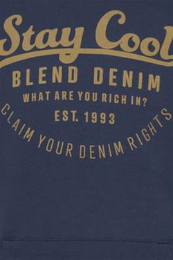 Sudadera con capucha y letras branding Blend Of America Blue