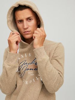 Sudadera con capucha y letras branding bordadas Jack & Jones Tigers Eye