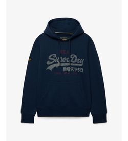 Sudadera con capucha y letras branding Superdry Bluestone