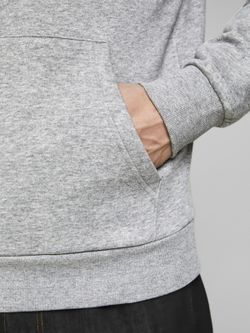 Sudadera con capucha y print en la espalda Jack & Jones Light Grey Mela