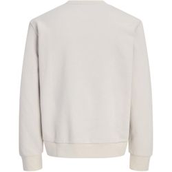 Sudadera de cuello redondo con letras branding Jack & Jones Dove