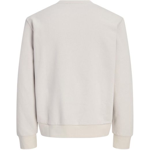 Sudadera de cuello redondo con letras branding Jack & Jones Dove