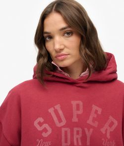 Sudadera con capucha y letras branding Superdry Bordeaux